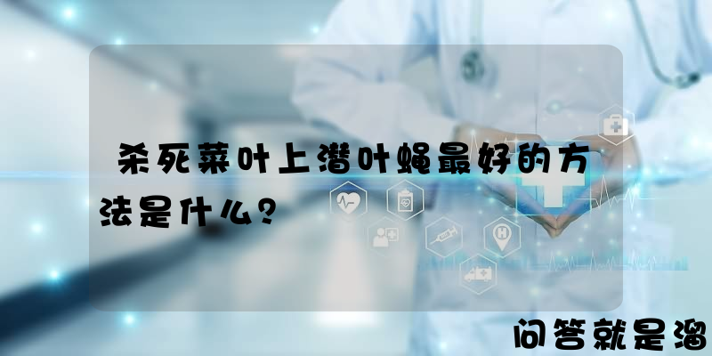 杀死菜叶上潜叶蝇最好的方法是什么？