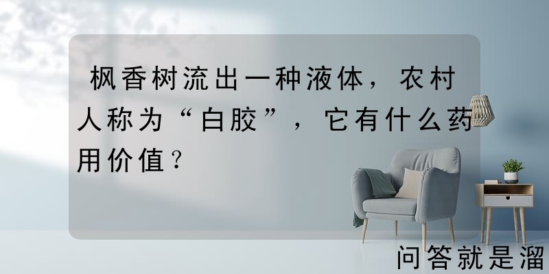 枫香树流出一种液体，农村人称为“白胶”，它有什么药用价值？