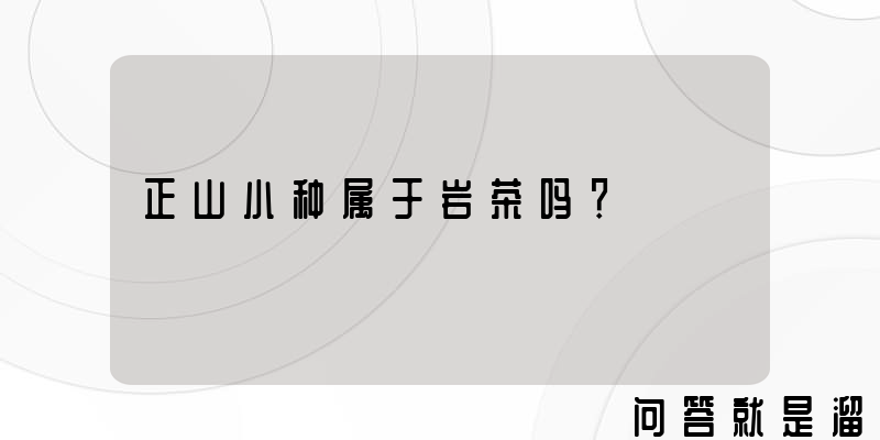 正山小种属于岩茶吗？