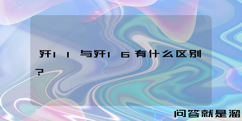 歼11与歼16有什么区别？