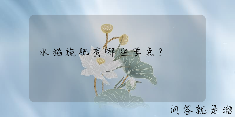 水稻施肥有哪些要点？