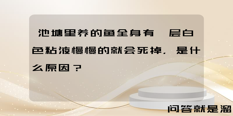 池塘里养的鱼全身有一层白色粘液慢慢的就会死掉，是什么原因？