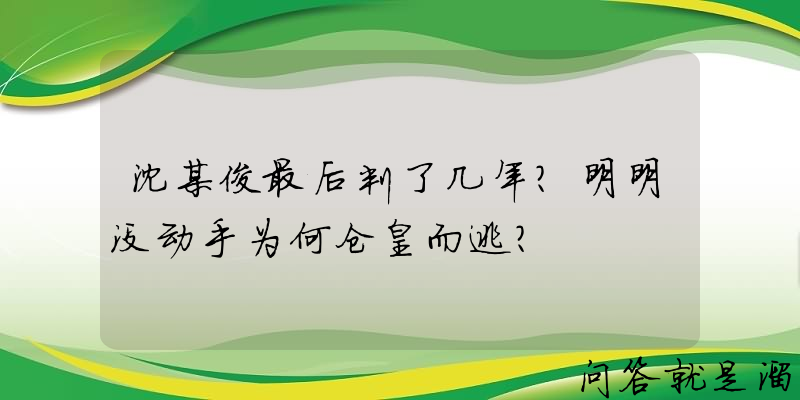 沈某俊最后判了几年？明明没动手为何仓皇而逃？