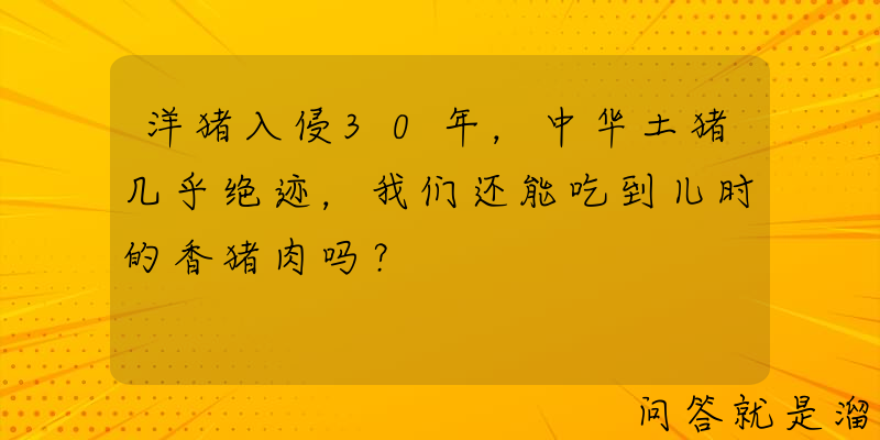 洋猪入侵30年，中华土猪几乎绝迹，我们还能吃到儿时的香猪肉吗？