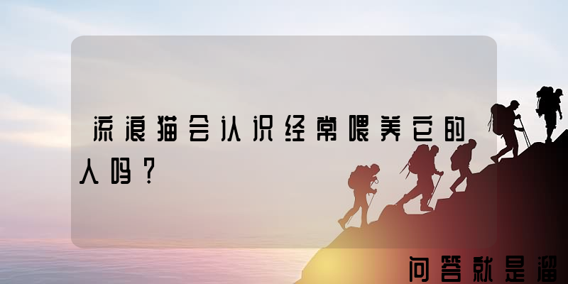 流浪猫会认识经常喂养它的人吗？