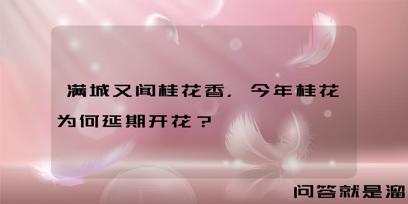 满城又闻桂花香，今年桂花为何延期开花？