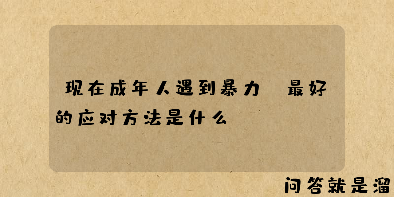 现在成年人遇到暴力，最好的应对方法是什么？