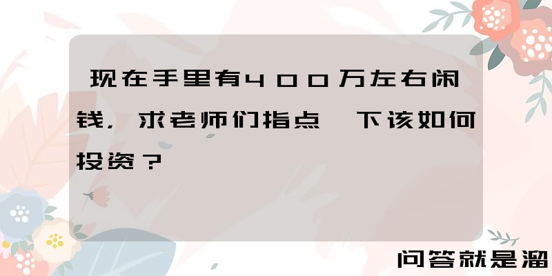 现在手里有400万左右闲钱，求老师们指点一下该如何投资？