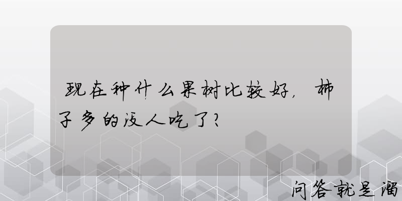 现在种什么果树比较好，柿子多的没人吃了？