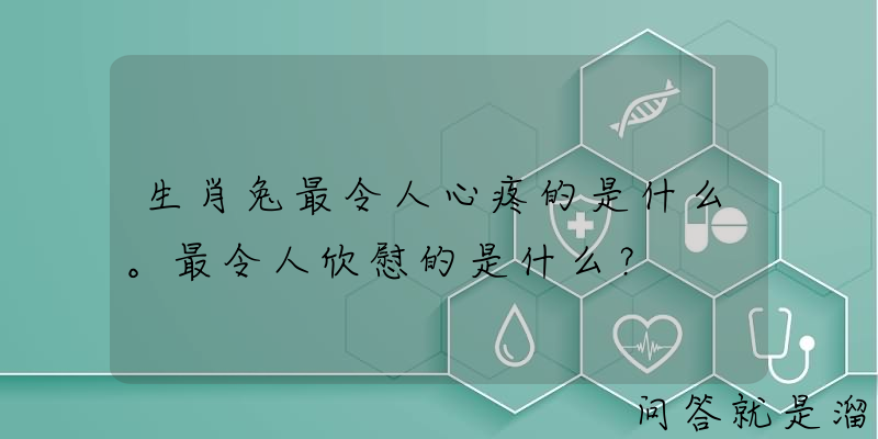 生肖兔最令人心疼的是什么。最令人欣慰的是什么？