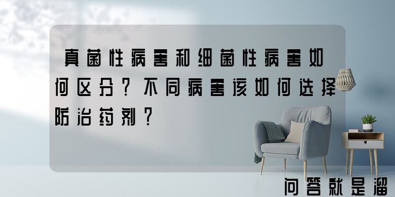 真菌性病害和细菌性病害如何区分？不同病害该如何选择防治药剂？