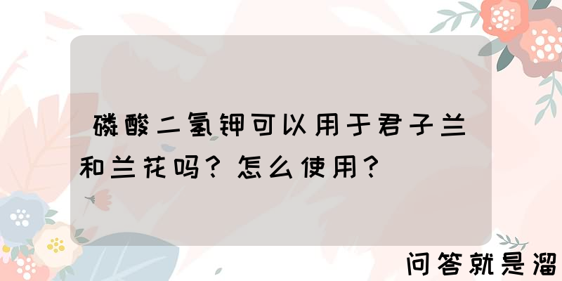 磷酸二氢钾可以用于君子兰和兰花吗？怎么使用？