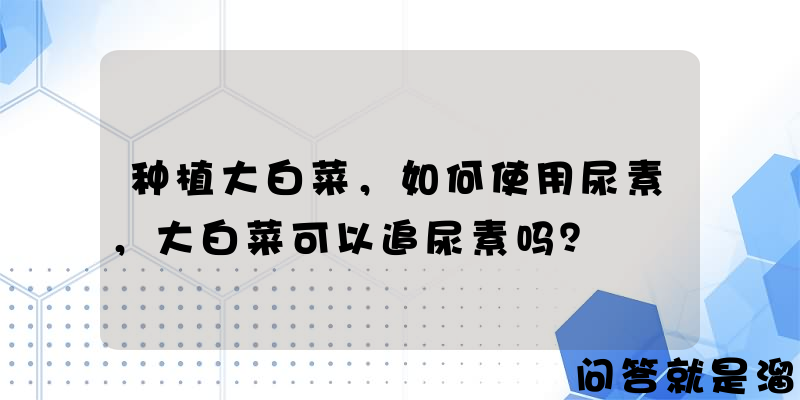 种植大白菜，如何使用尿素，大白菜可以追尿素吗？