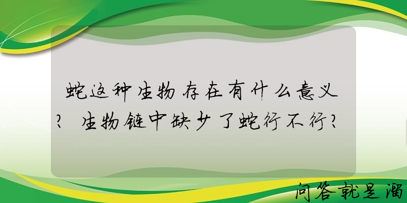 蛇这种生物存在有什么意义？生物链中缺少了蛇行不行？