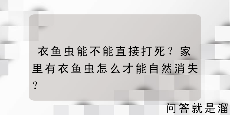 衣鱼虫能不能直接打死？家里有衣鱼虫怎么才能自然消失？