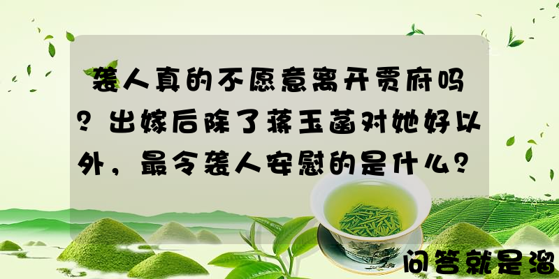 袭人真的不愿意离开贾府吗？出嫁后除了蒋玉菡对她好以外，最令袭人安慰的是什么？