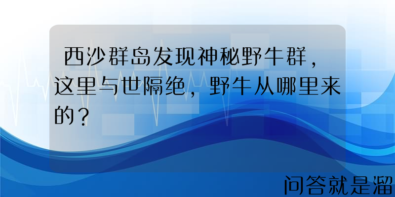 西沙群岛发现神秘野牛群，这里与世隔绝，野牛从哪里来的？