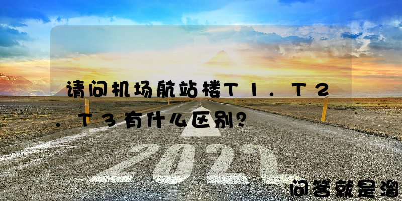 请问机场航站楼T1.T2.T3有什么区别？