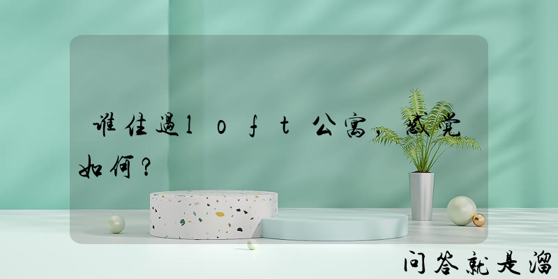 谁住过loft公寓，感觉如何？