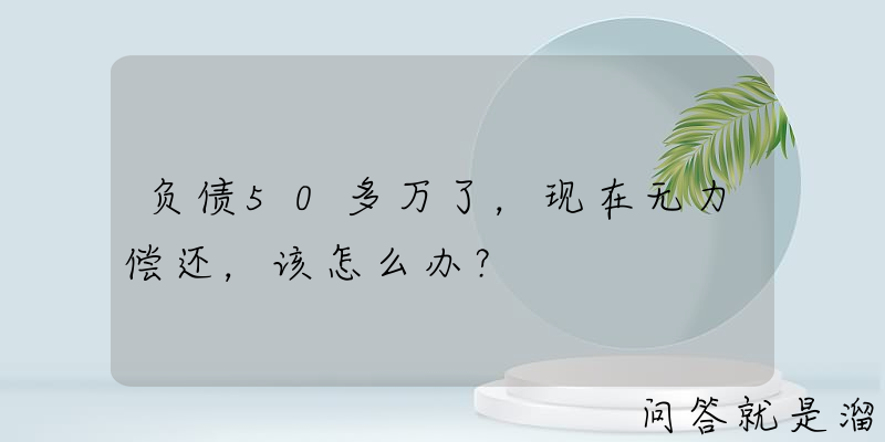 负债50多万了，现在无力偿还，该怎么办？