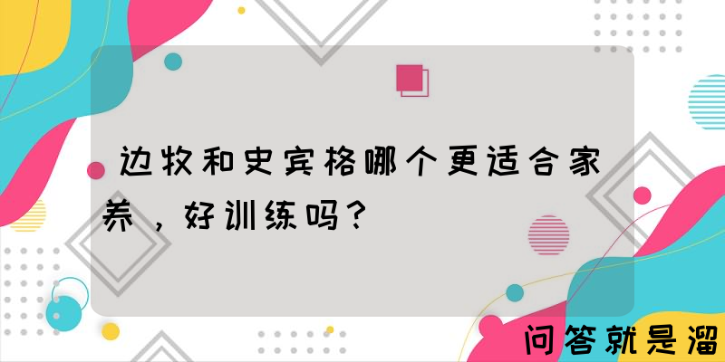 边牧和史宾格哪个更适合家养，好训练吗？