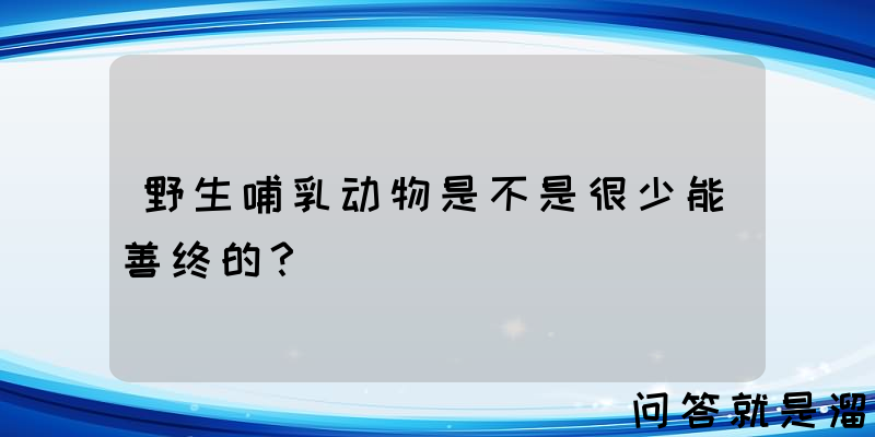 野生哺乳动物是不是很少能善终的？