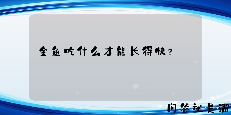 金鱼吃什么才能长得快？