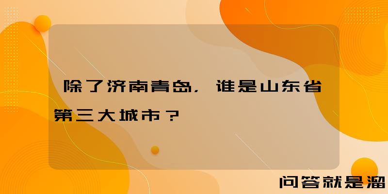 除了济南青岛，谁是山东省第三大城市？